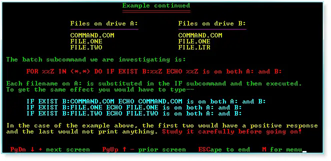 Example image of command in DOS batch script (Image collected from Google images search)