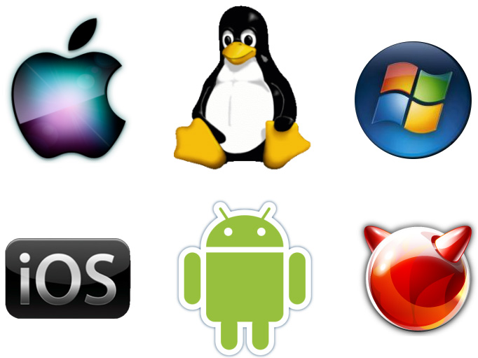 different types of operating systems