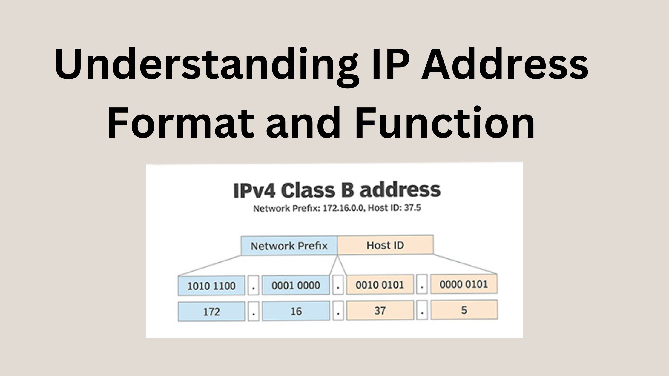 Understanding IP Address Format and Function