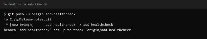 Terminal showing git push -u origin add-healthcheck creating a new branch on the remote