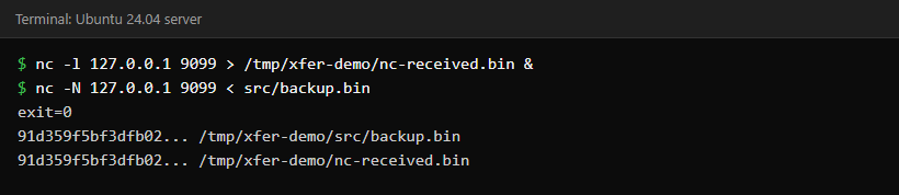 Terminal showing nc sending a file to a listening nc and sha256sum printing the same truncated hash for both copies