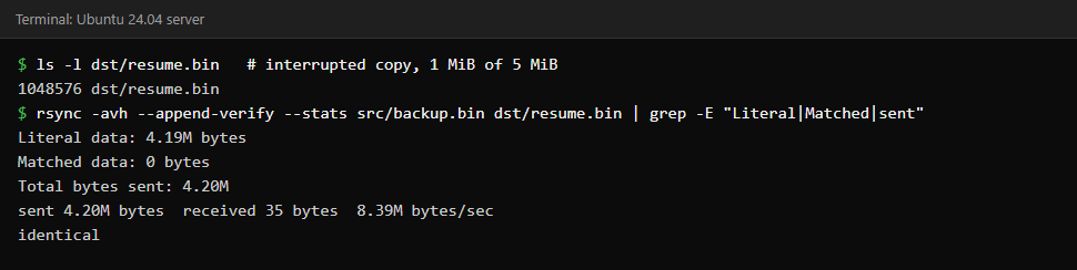 Terminal showing a 1 MiB partial file being completed by rsync with append-verify, with 4.19M bytes of literal data sent and cmp reporting the files identical