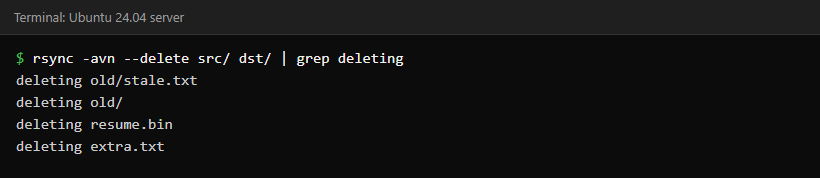 Terminal showing rsync -avn --delete listing four deleting lines for files that exist only in the destination