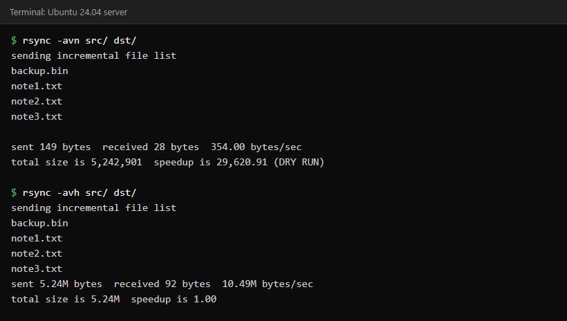 Terminal showing rsync -avn listing four files marked DRY RUN, followed by the real rsync -avh run copying the same four files