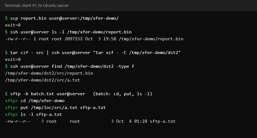 Terminal showing scp, a tar pipe over ssh and an sftp batch run, all finishing with exit status 0 and the files present on the server